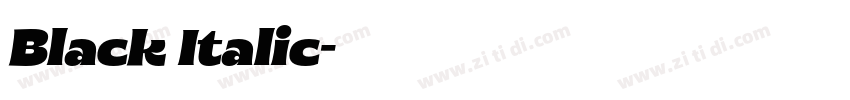 Black Italic字体转换 Black Italic字体转换